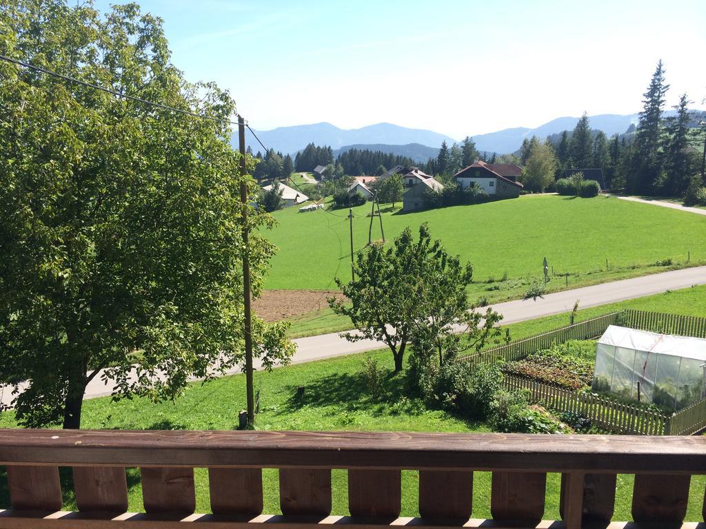 Tourist Farm Pacnik Hotel Resnik Buitenkant foto